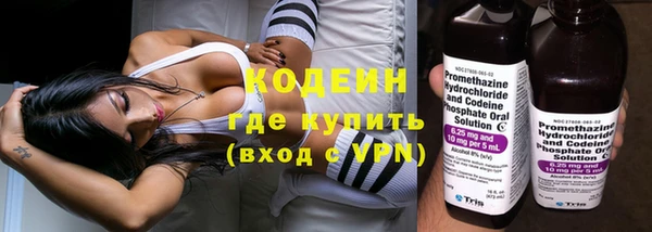 прущие грибы Михайловск
