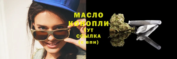 индика Майский