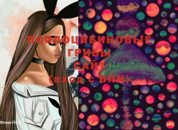 COCAINE Михайлов